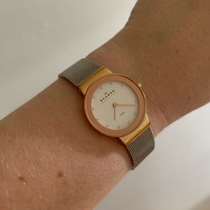 Skagen Freja Lille Two-Tone Steel Mesh Watch in Rose Gold